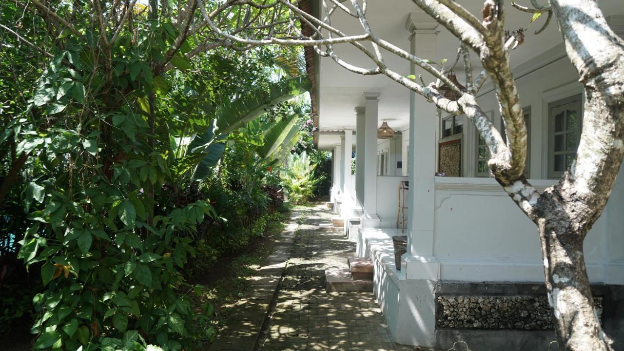 Endless Summer Surf Camp Kuta Кута Экстерьер фото